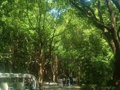 -同里国家湿地公园