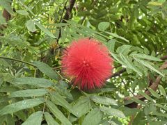 -北京植物园-展览温室