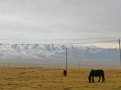 -祁连山草原