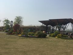 -上海长兴岛郊野公园