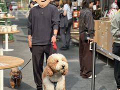 -深圳湾万象城(南山店)