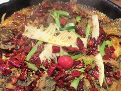 -老板恋上鱼(恒隆广场店)