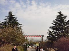 -北京鹫峰国家森林公园