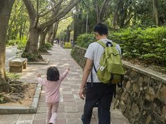 -广东茂名森林公园