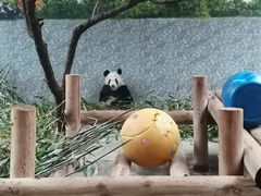 -西安秦岭野生动物园