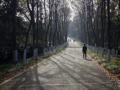 -宜兴龙背山森林公园