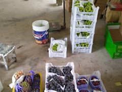 -马陆小张葡萄园农家乐