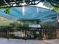 -九龙公园