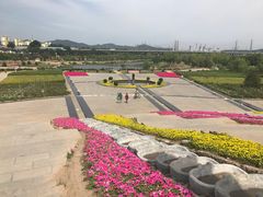 -永定河休闲森林公园