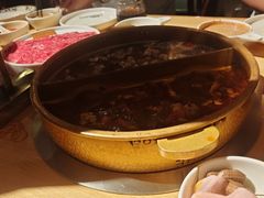 -东道煮牛肉火锅(东盛大街店)