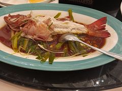 -新南华大酒店(广中店)