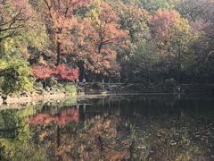 -灵谷景区