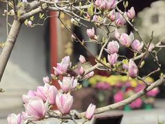 -李叔同故居纪念馆