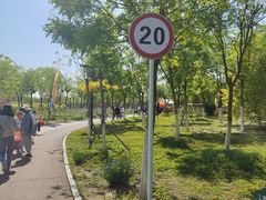 -天津东丽湖风景区