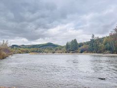 -莫尔道嘎国家森林公园