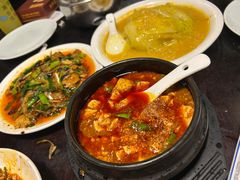 -陈麻婆豆腐总店