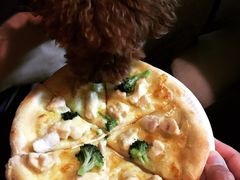 百好乐比萨-百好乐宠物友好餐厅(朝外大街店)