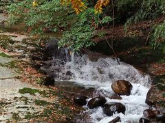 -铁山坪森林公园