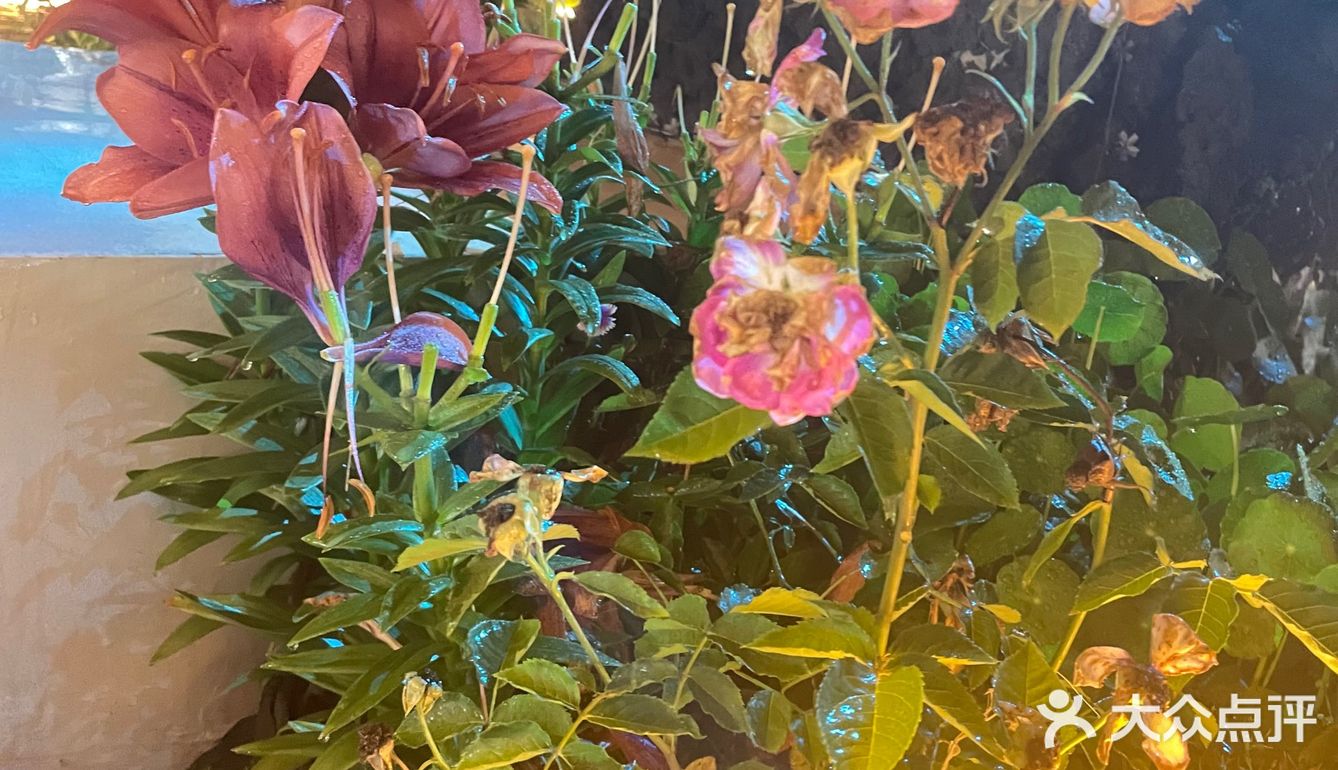 顶楼的花园餐厅，景观布置超级棒