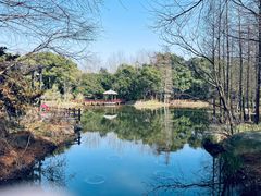 -上海滨江森林公园