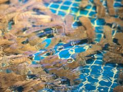 -驻海渔市(置信店)