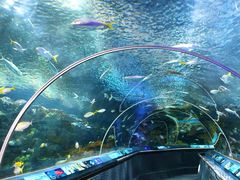 -上海海洋水族馆