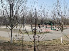 -永定河休闲森林公园