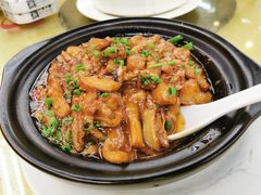 -东森家宴·惠州客家菜