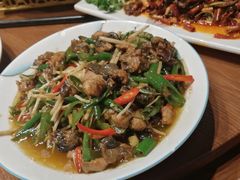 -老滇山寨•云南特色菜•地方菜•民族风情歌舞表演(金碧店)