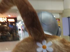 -友谊新天地广场(金街店)