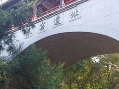 -西安曲江寒窑遗址公园