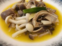 -汤里来温泉