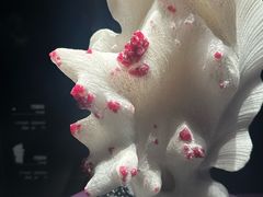 -山东博物馆