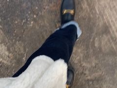 -曾麻子热干面(丁字桥路店)