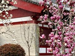 -大慈恩寺(大雁塔)