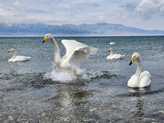 -赛里木湖风景名胜区