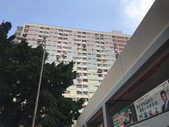 -彩虹村