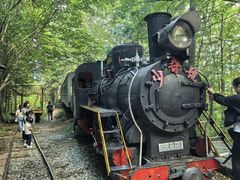 -五营红松林海景区