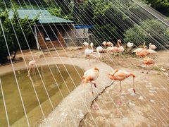 -大连老虎滩海洋公园