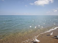 -青海湖国家重点风景名胜区