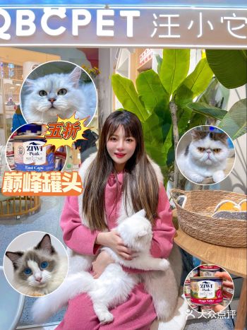 唐山探店｜网红宠物店“双十一”低至9.9