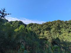 -碧峰峡风景区