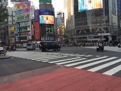 -涩谷区