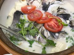 -全乐鱼馆·淳牌有机鱼直营店
