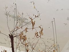 -作咖啡(养育巷店)