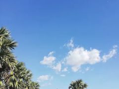 -春秋旅游航空(西藏路分部)