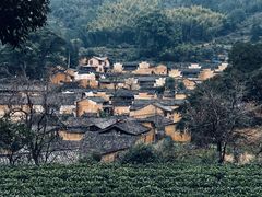 -杨家堂村