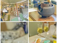 -茶是一枝花泡茶店