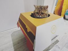 -麦当劳(双榆树店)