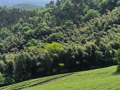 -敬亭山风景名胜区